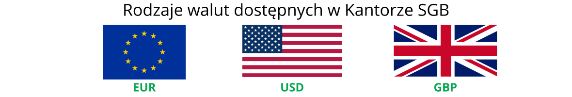 rodzaje dostępnych walut