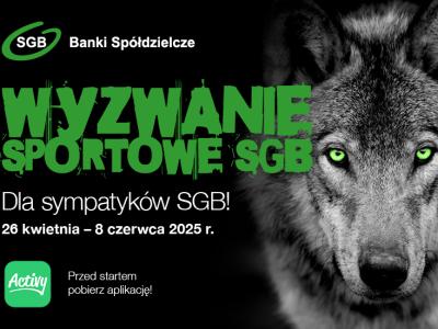 wyzwanie sportowe 
