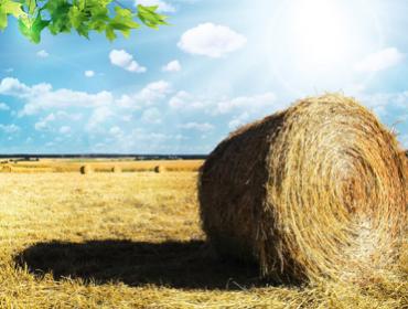 Kredyt na zakup ziemi PBS AGRO